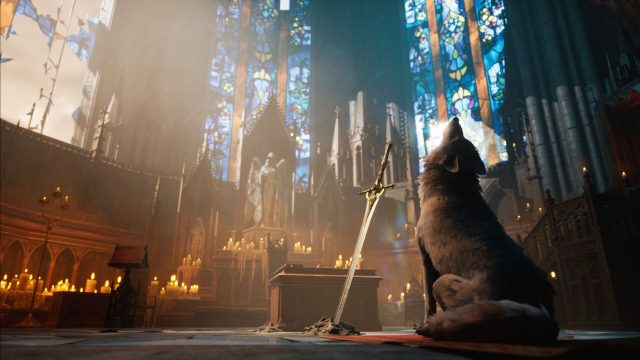 Discover the Unique Experience of Stray Dog: Nobody Cares