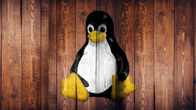 Essential Guide to Downloading and Installing the Latest PC and Console Games